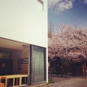 10012436_637522552993081_1682622528_n