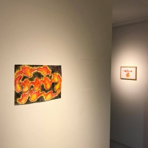 27540478_1958872927707367_2475274285067135558_n