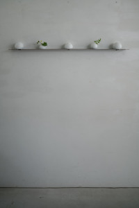 056 DSC08859 Hiroshi Tanigawa