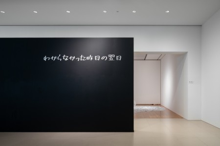 001RRR08698 ToLoLo studio