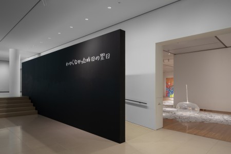 003RRR08706 ToLoLo studio