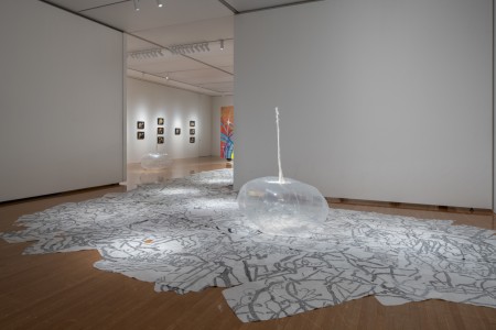 006RRR08718 ToLoLo studio