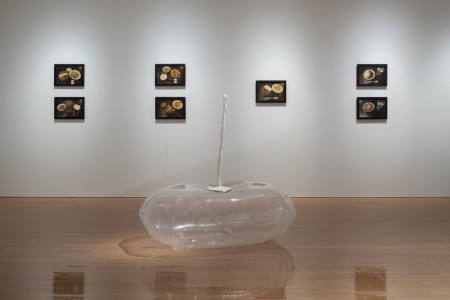 019RRR08796 ToLoLo studio