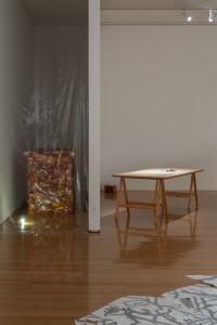 036RRR08778 ToLoLo studio