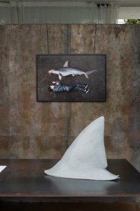 006YYY09100 ToLoLo studio