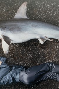 010RRR04819 ToLoLo studio