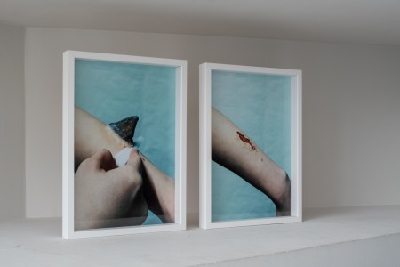 016YYY09117 ToLoLo studio