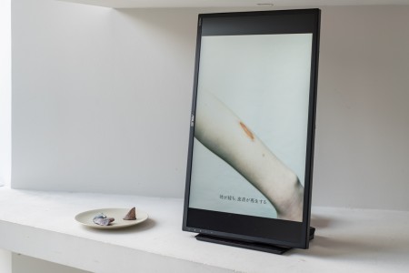 021YYY09059 ToLoLo studio