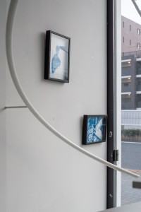 042YYY09175 ToLoLo studio