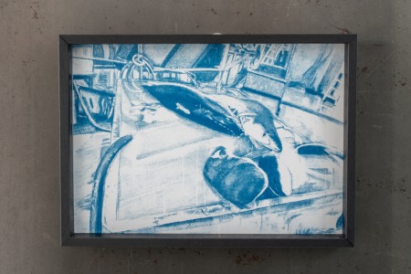 056YYY09161 ToLoLo studio