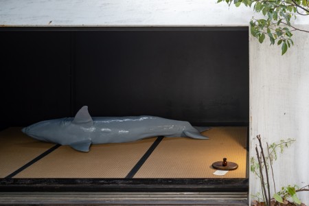 059RRR04765 ToLoLo studio