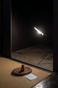 061RRR04767 ToLoLo studio