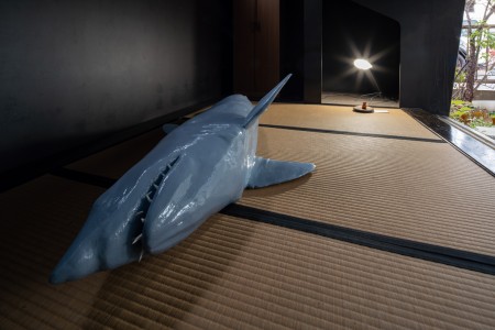 066YYY09139 ToLoLo studio