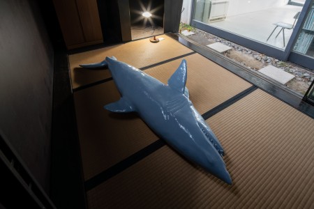 067YYY09136 ToLoLo studio