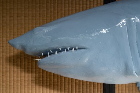 068RRR04773 ToLoLo studio