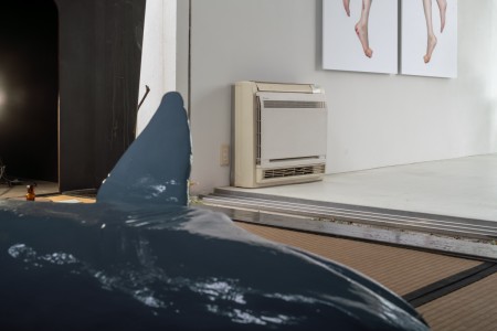 069RRR04785 ToLoLo studio