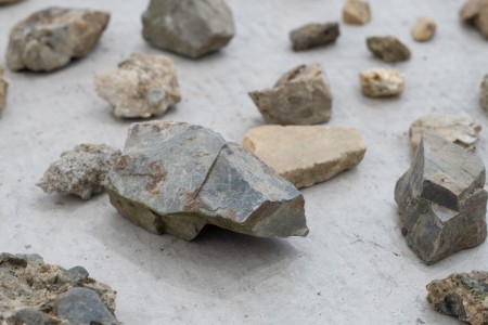 034RRR00121 ToLoLo studio