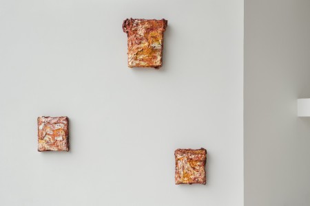 023 YYY00031-Edit　ToLoLo