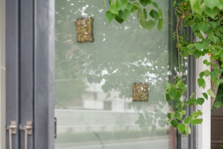 013 YYY09991-Edit　ToLoLo