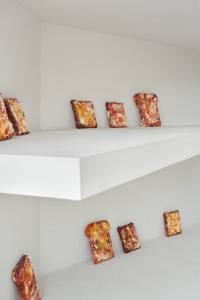 020 YYY00100-Edit-Edit　ToLoLo