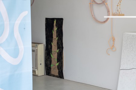 027 YYY00885　ToLoLo