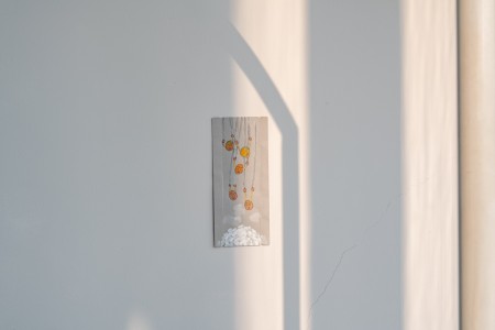 029 YYY01055　ToLoLo