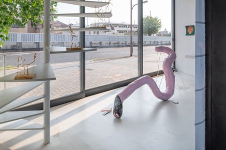 041 YYY01018　ToLoLo