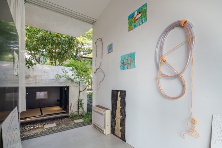 055 YYY01052　ToLoLo