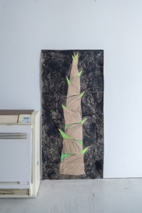 046 YYY00991　ToLoLo