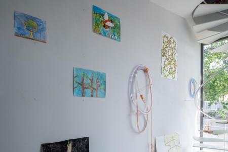 039 YYY00972　ToLoLo