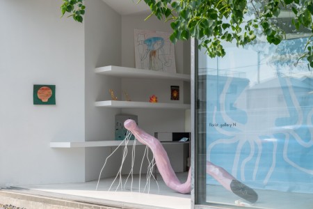 009 YYY00879　ToLoLo