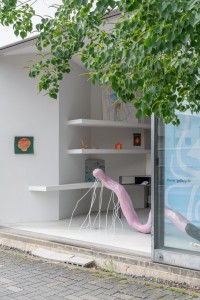 007 YYY00873　ToLoLo