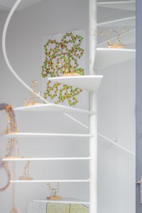 035 YYY00891　ToLoLo