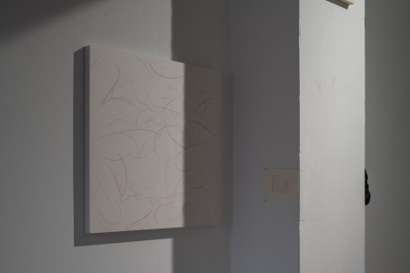 007NAK02823 ToLoLo studio