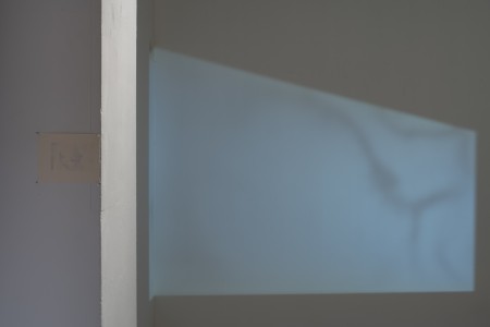 016NAK02838 ToLoLo studio