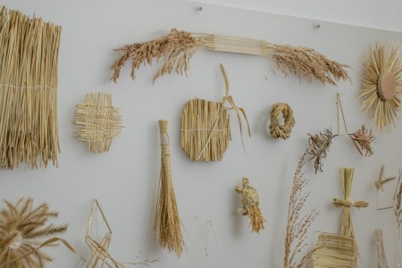 142 NAK02784　ToLoLo