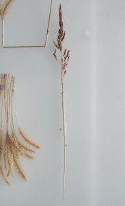 132 MIT01787　ToLoLo