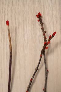 022 MIT01862　ToLoLo