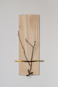 024 NAK02622　ToLoLo