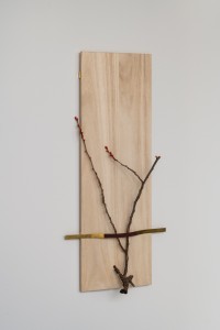 025 NAK02625　ToLoLo