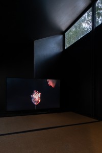 148 NAK02667　ToLoLo