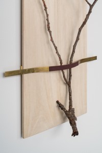 027 MIT01850　ToLoLo