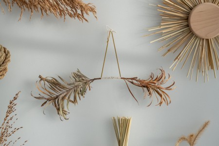 134 NAK02600　ToLoLo