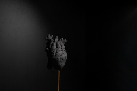 154 NAK02645　ToLoLo