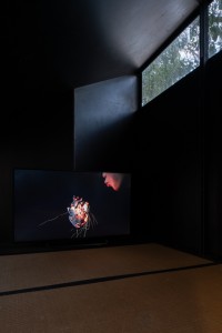 149 NAK02665-Edit　ToLoLo