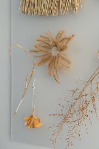 112 NAK02616　ToLoLo