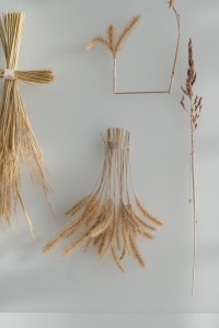 130 NAK02596　ToLoLo