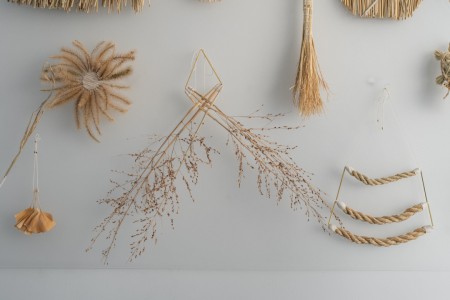 113 NAK02617　ToLoLo