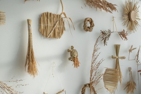 141 MIT01726　ToLoLo