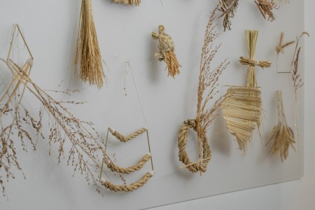 140 NAK02781　ToLoLo